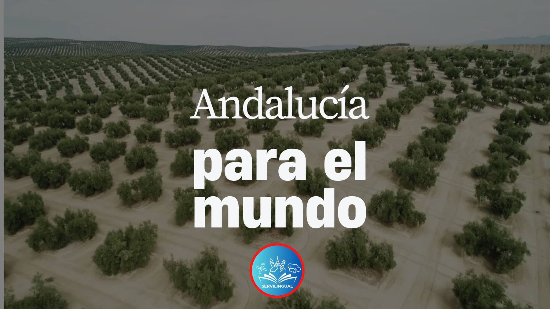 Paisaje de olivares de Andalucía